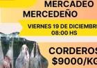 Mercedes: este viernes se realizará el Mercadeo Mercedeño en el Parque Mitre
