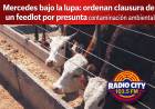 Mercedes bajo la lupa: ordenan clausura de un feedlot por presunta contaminación ambiental