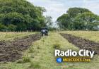 Mercedes: avanzan trabajos en chacras mientras productores esperan más apoyo