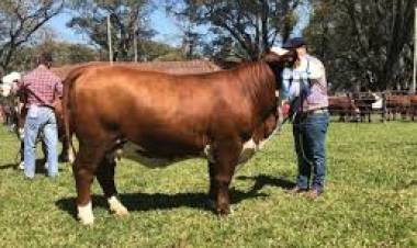 Mercedes : El 5 Arranca la Jura de admisión en la Rural 