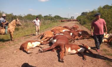 Selva Avalos: “En Capivarí el servicio de la DPEC es deplorable, los palos de luz se hamacan porque están podridos”