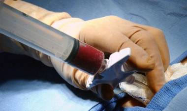 DONAR VIDA! Casi 7 mil correntinos ya están inscriptos en el registro nacional