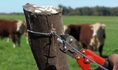 Juntos, en lucha contra el abigeato