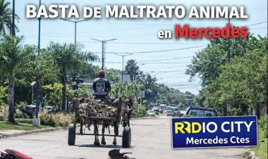 Maltrato animal en Mercedes  a la vista de todos: un reclamo que exige respuestas urgentes