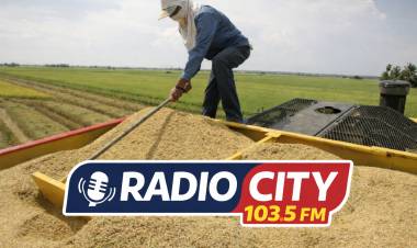 Corrientes eliminó el canon para pequeños productores arroceros