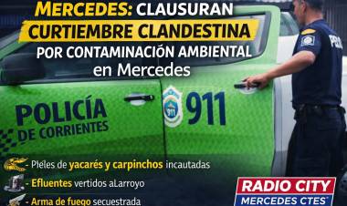 Grave hallazgo ambiental en Mercedes: clausuran curtiembre clandestina y secuestran fauna silvestre