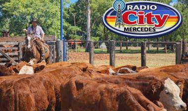 Mercedes vivió una jornada histórica en la Feria del Ternero