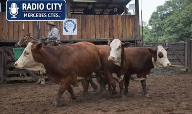 Mercedes: pequeños productores concretaron su 21° remate anual