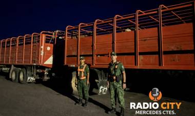 MERCEDES: Transportaba hacienda sin la documentación completa y debió pagar una millonaria multa