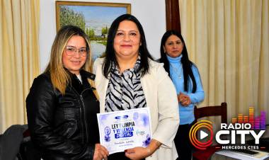 Mercedes: realizaron una charla taller sobre la Ley Olimpia y violencia digital en el Concejo Deliberante