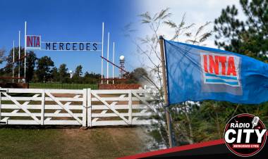 Mercedes: advierten que la reducción de personal en el INTA podría afectar servicios clave para el campo