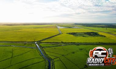 Mercedes aparece entre los puntos fuertes de la extranjerización de tierras en Corrientes