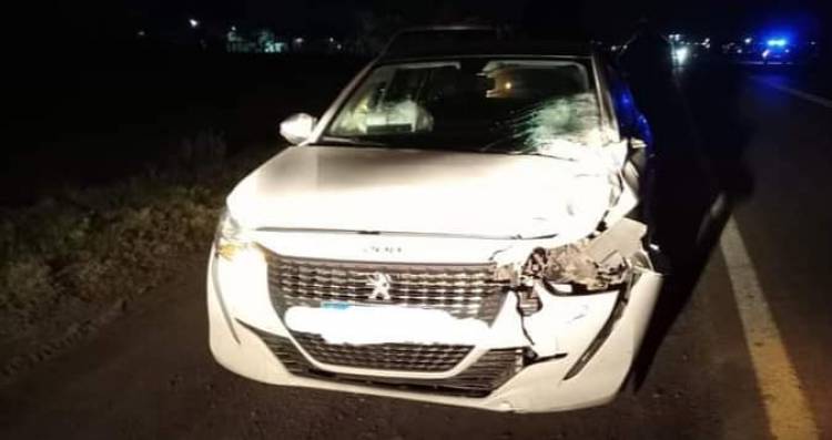 Concejal Mercedeño  chocó un caballo suelto en la Ruta 119