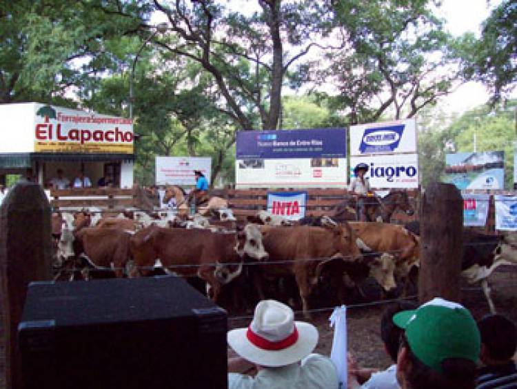 Llega el 20° Remate de Pequeños Productores en la Rural de Mercedes