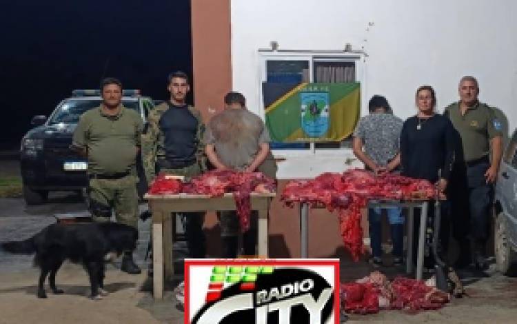 Persecución y detención en Perugorría por abigeato