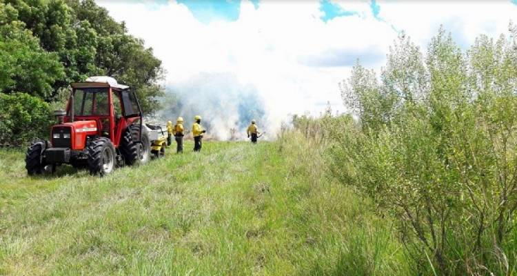 Autorizan quemas programadas en la provincia de Corrientes