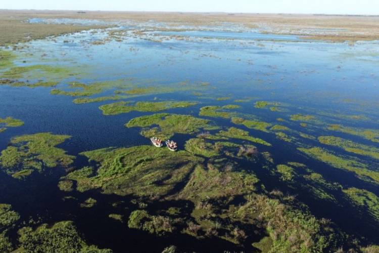 Esteros del Iberá elegida Maravilla de América Latina 2025