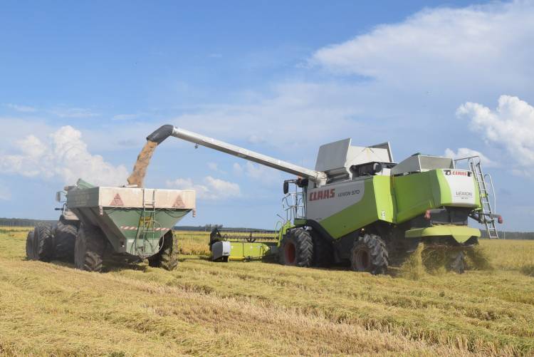 AdecoAgro apuesta a Ctes y se comprometió a sembrar el doble