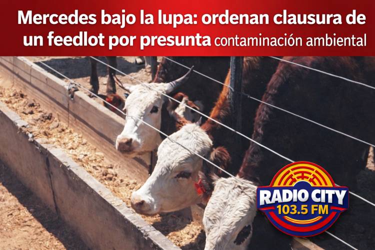 Mercedes bajo la lupa: ordenan clausura de un feedlot por presunta contaminación ambiental