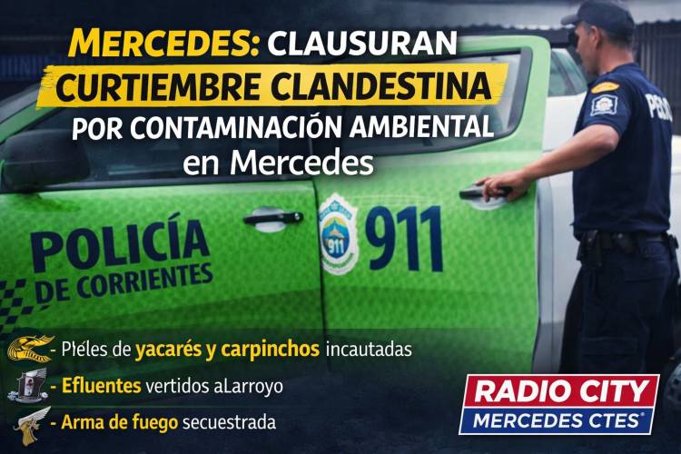 Grave hallazgo ambiental en Mercedes: clausuran curtiembre clandestina y secuestran fauna silvestre