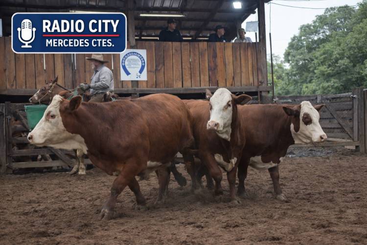 Mercedes: pequeños productores concretaron su 21° remate anual