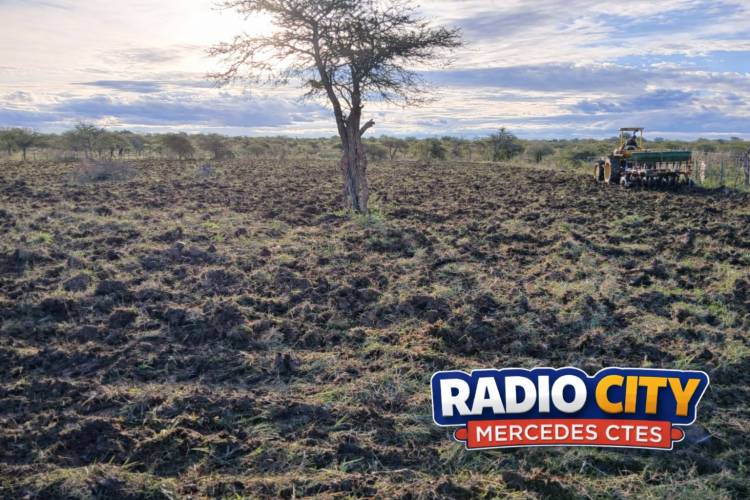 MERCEDES: realizan tareas de laboreo de suelo en el paraje Ibirapitá