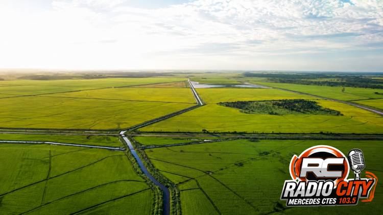 Mercedes aparece entre los puntos fuertes de la extranjerización de tierras en Corrientes